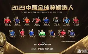 退役的传奇球员